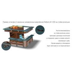 Активный 2-канальный двунаправленный микрофон Stelberry M-1200 для записи разговоров в помещениях с высоким уровнем шума