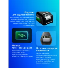 Батарея аккумуляторная Greenworks G24B4 24В 4Ач Li-Ion (2938407)