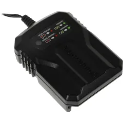 Зарядное устройство Greenworks G40UCM2M (2946507)