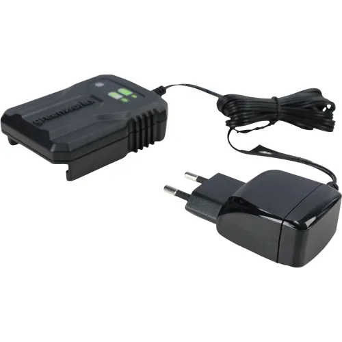 Зарядное устройство Greenworks G24UC2 (2946207)