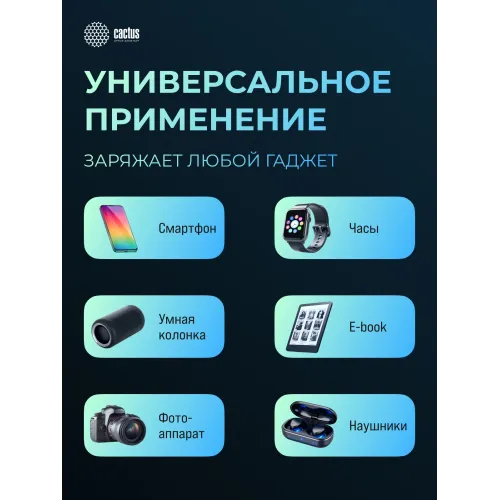 Мобильный аккумулятор Cactus CS-PBFSFT-10000 10000mAh 10.5W 2.1A 2xUSB-A черный