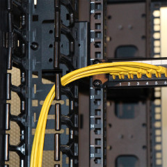 Кабельный органайзер вертикальный Lanmaster TWT-CBB-DVO-42U/M односторонний пальцы 42U шир.:19" глуб.:155мм (упак.:2шт)