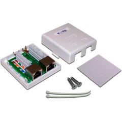 Розетка Lanmaster TWT-SM2-4545/S6-WH настен.RJ45 2 кат.6 STP бел. (упак.:1шт)