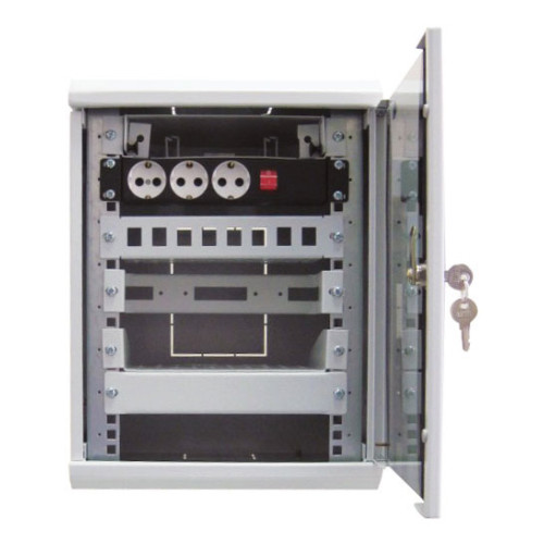 Шкаф коммутационный ЦМО (ШРН-12.255-10) настенный 12U 320x305мм пер.дв.стекл 100кг серый 255мм 10.62кг 180град. 600мм металл